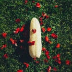 Esponja Vegetal Luffa Entera
