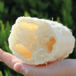 Trozo esponja vegetal de luffa